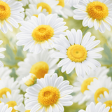 Handmade cotton pillowcase | Sunny Daisies