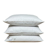 Divpusēja sega un divas spilveni ar zoss dūnu un spalvu pildījumu