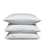 Žąsų pūkų un spalvu spilvens EXCLUSIVE (90/10) - Spilvens