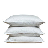 Žąsų pūkų un spalvu spilvens EXCLUSIVE (90/10) - Spilvens