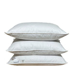 Vienvietīga sega un spilvens ar zoss dūnu un spalvu pildījumu