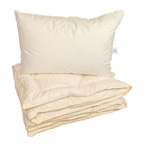 Vienvietīga sega un spilvens ar zoss dūnu un spalvu pildījumu