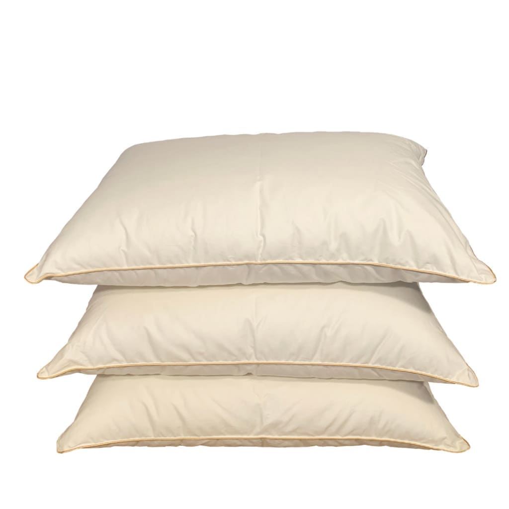 Vienvietīga sega un spilvens ar zoss dūnu un spalvu pildījumu